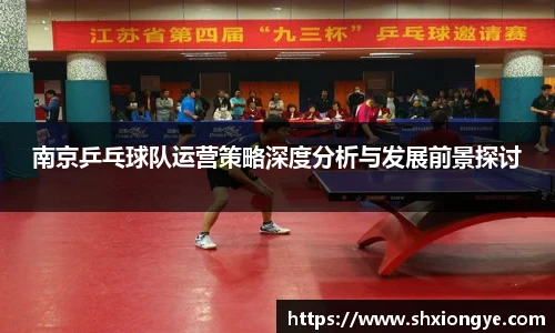 南京乒乓球队运营策略深度分析与发展前景探讨